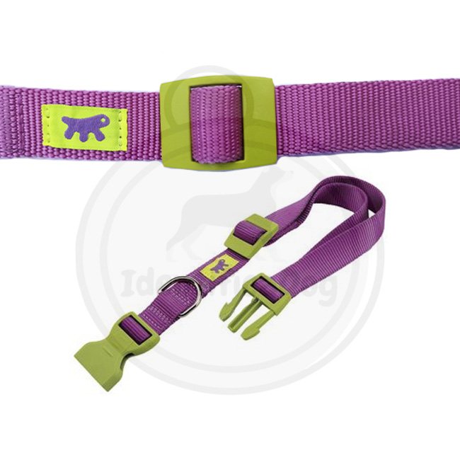 Collar Ferplast - Modelo Club Lila